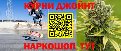 гашик Тулун