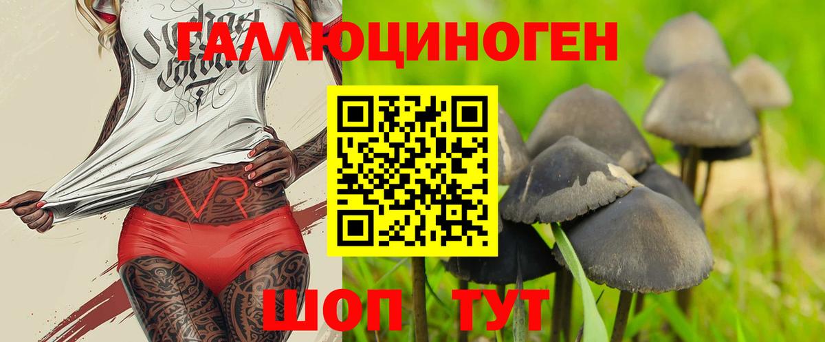 Псилоцибиновые грибы MAGIC MUSHROOMS  Вход с VPN  Галлюциногенные грибы Psilocybine cubensis  Дальнереченск 